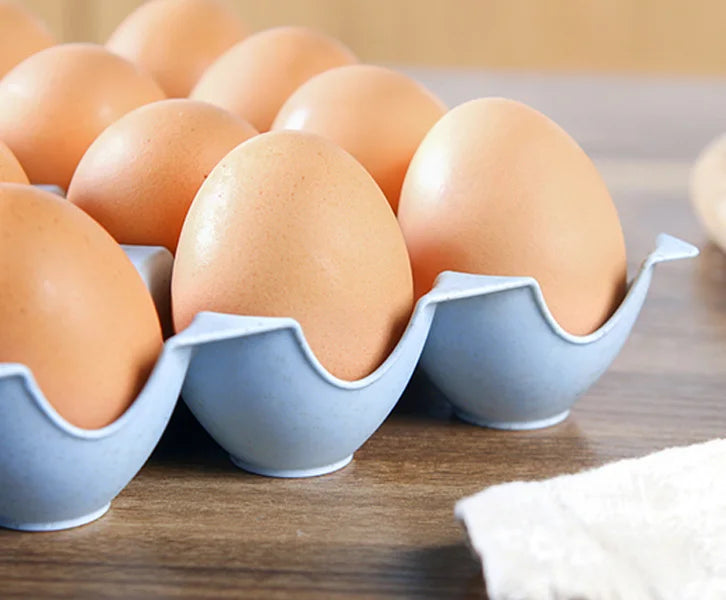 Kitchen Fridge 15 Cups Plastic Environmental Storage Holder Egg Organizer Tray for Refrigerator